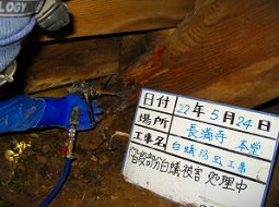 長満寺の本堂の床下階段シロアリ被害部分の薬剤吹付処理です