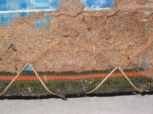畳裏にシロアリの蟻土